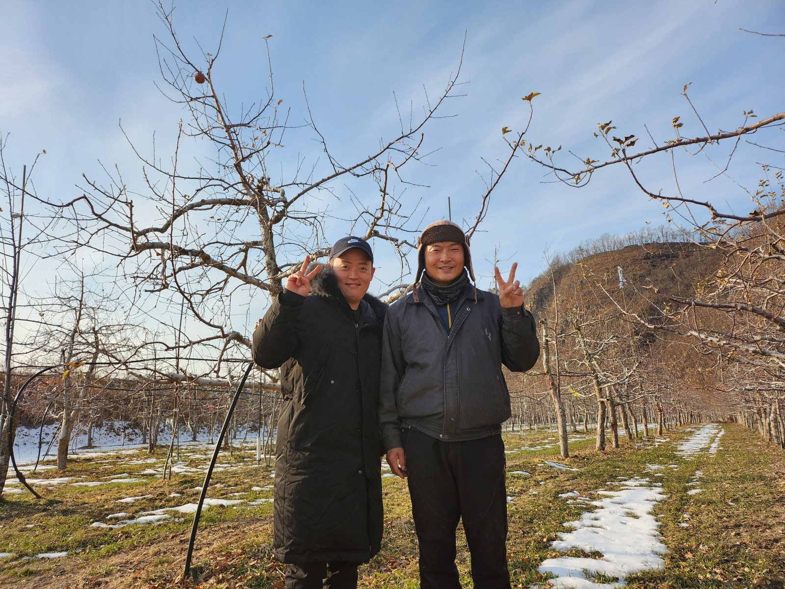 겨울 과수원에서 두 사람이 브이 포즈로 선 사진